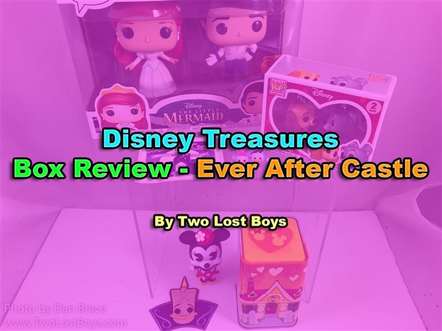 Disney Treasures Box Review - Ever After Castle